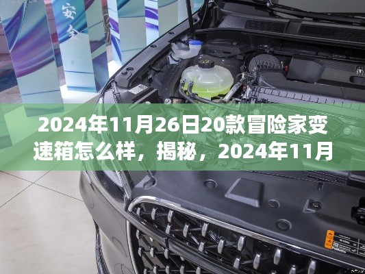 第2426页