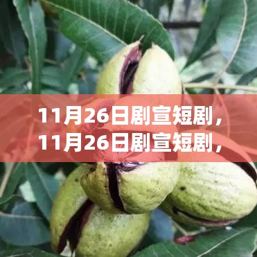 关于我们 第499页