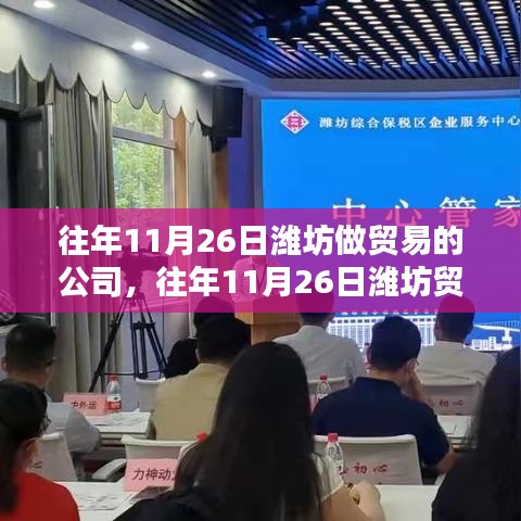 往年11月26日潍坊贸易公司运营状况探析，某某观点下的市场观察与解析