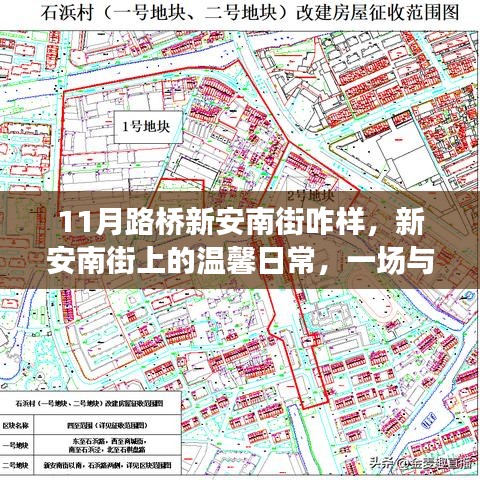 新安南街的日常，与友共度的温馨时光与美好记忆