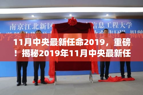 揭秘2019年11月中央最新任命，洞悉未来蓝图与领导层新动向
