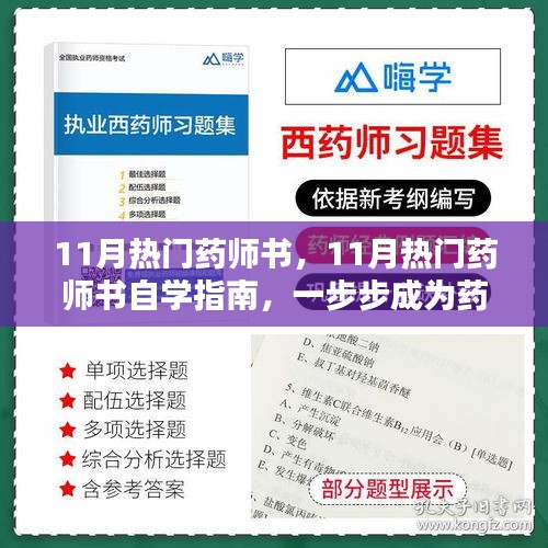 11月热门药师书，自学指南与药学达人之路