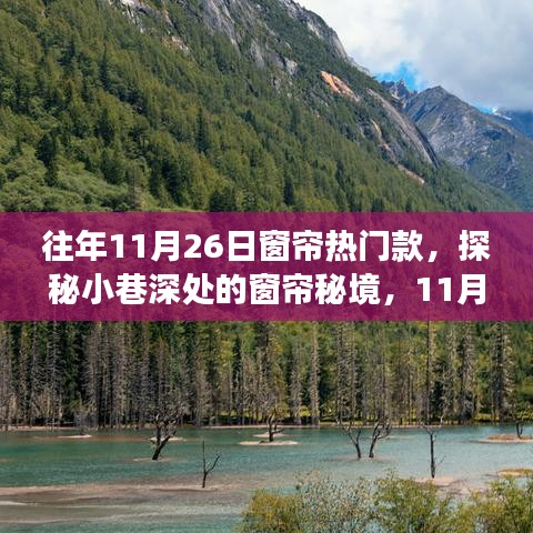 探秘小巷深处的窗帘秘境，揭秘往年与今年11月26日的热门款故事