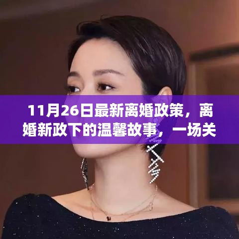离婚新政下的温馨故事，友情与爱的旅程启程