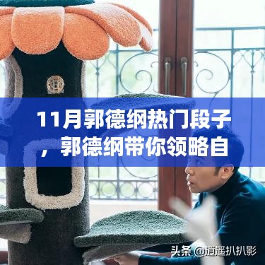 11月郭德纲热门段子，郭德纲带你领略自然美景，寻找内心平静之旅，十一月热门段子带你笑中带泪，启程吧！