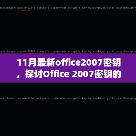 Office 2007密钥合法性探讨，最新密钥获取与潜在风险分析