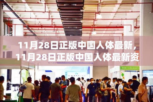 揭秘身体奥秘，最新正版中国人体资讯探索独特魅力