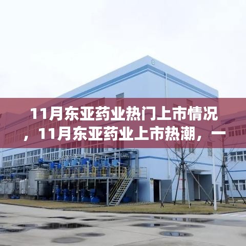 11月东亚药业上市热潮，心灵与自然的奇妙旅程