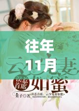 重磅发布，往年11月28日最新虐恋小说排行榜及APP榜单，重塑情感世界科技巨献！