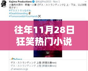 往年11月28日热门小说深度解析，狂笑小说的魅力与用户体验测评