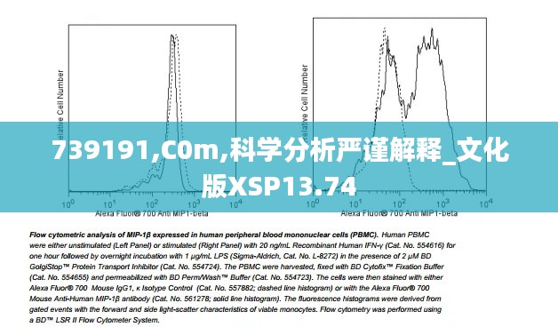 739191,C0m,科学分析严谨解释_文化版XSP13.74