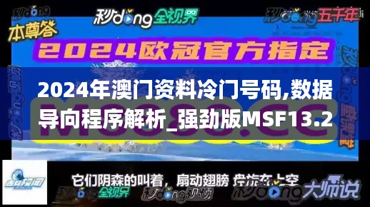 2024年澳门资料冷门号码,数据导向程序解析_强劲版MSF13.27