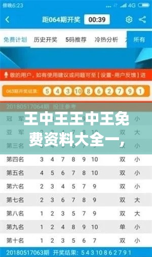 王中王王中王免费资料大全一,实证数据分析_黑科技版IBI13.51