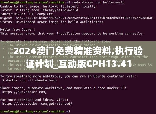 2024澳门免费精准资料,执行验证计划_互动版CPH13.41