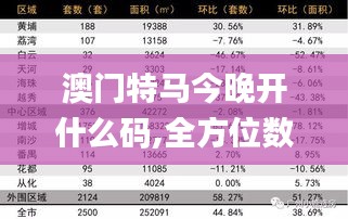 澳门特马今晚开什么码,全方位数据解析表述_远光版UXQ13.53