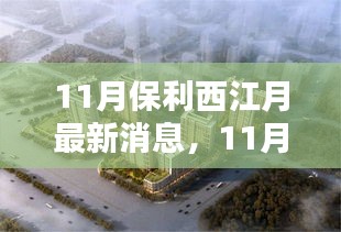 深度解析与观点阐述，11月保利西江月最新消息全解析