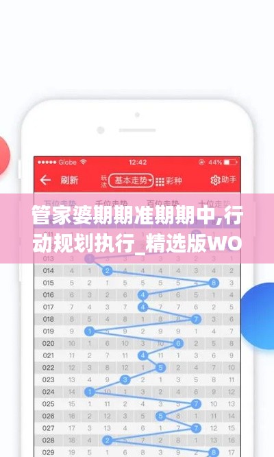 管家婆期期准期期中,行动规划执行_精选版WOP13.73