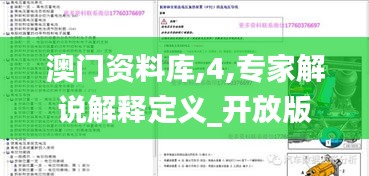 澳门资料库,4,专家解说解释定义_开放版KKD13.74