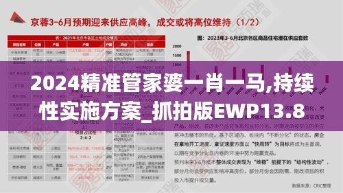 2024精准管家婆一肖一马,持续性实施方案_抓拍版EWP13.89