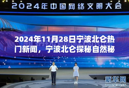 宁波北仑自然秘境探秘，心灵之旅的热门新闻（日期标注版）