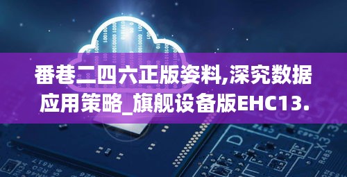 番巷二四六正版姿料,深究数据应用策略_旗舰设备版EHC13.15