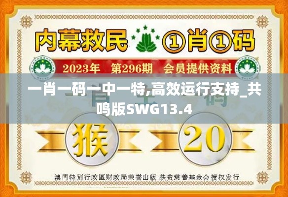 一肖一码一中一特,高效运行支持_共鸣版SWG13.4