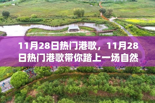 11月28日热门港歌，踏寻自然美景的心灵之旅