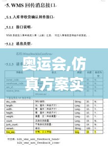 奥运会,仿真方案实施_改进版GWN13.24