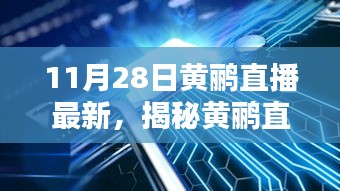 揭秘黄鹂直播新动向，三大看点抢鲜看（11月28日最新直播）