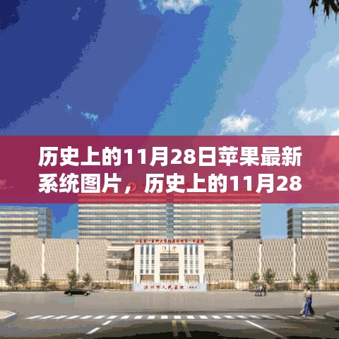 一飞冲天 第4页