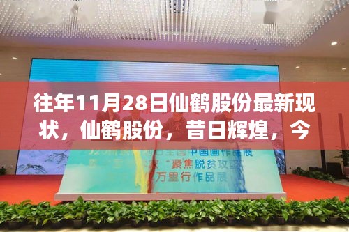 仙鹤股份，昔日辉煌与今日新貌——以深度观察的角度看待其最新现状（时间节点为11月28日）