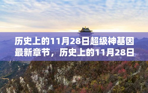 历史上的超级神基因，深度解析与观点阐述的最新章节（11月28日更新）
