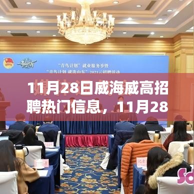 11月28日威海威高招聘热门信息解析及其价值与影响探讨