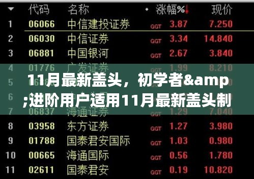 初学者与进阶用户适用的11月最新盖头制作指南