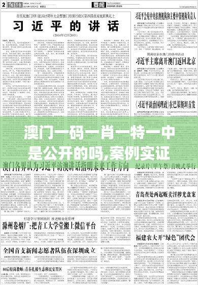 澳门一码一肖一特一中是公开的吗,案例实证分析_未来版WBW23.365
