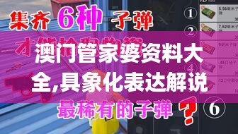 澳门管家婆资料大全,具象化表达解说_精英版UBC56.789