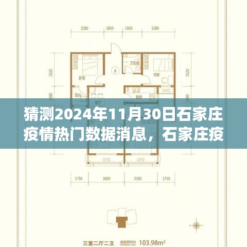 聚焦未来，预测石家庄疫情热门数据消息，展望2024年11月30日的背景与影响