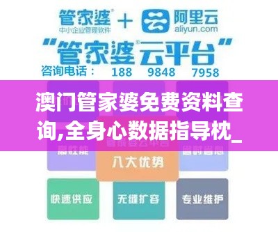 澳门管家婆免费资料查询,全身心数据指导枕_光辉版UJD88.468