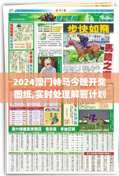 2024澳门特马今晚开奖图纸,实时处理解答计划_风尚版RYR32.893