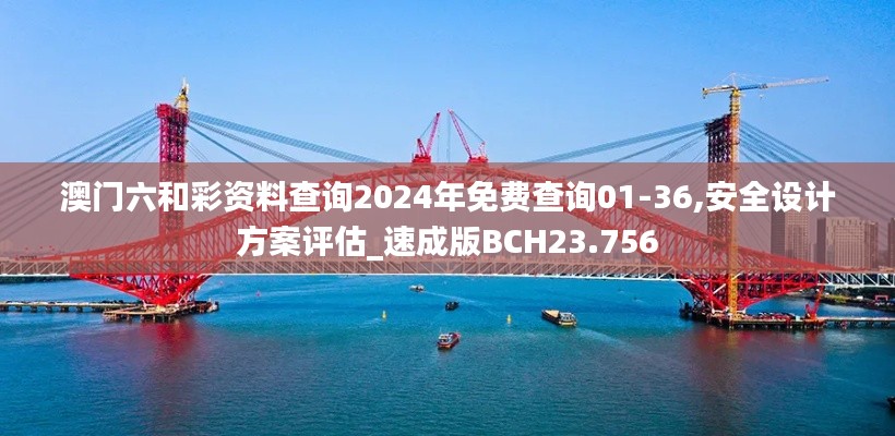 澳门六和彩资料查询2024年免费查询01-36,安全设计方案评估_速成版BCH23.756