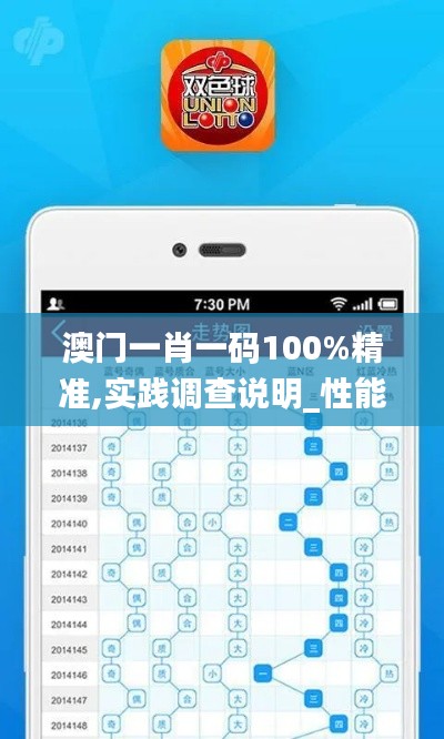 澳门一肖一码100%精准,实践调查说明_性能版DOJ25.177