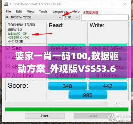 婆家一肖一码100,数据驱动方案_外观版VSS53.678