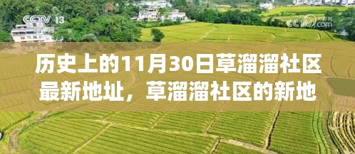 温馨有趣的日常故事，草溜溜社区新地址揭秘，历史背景下的社区变迁纪念日