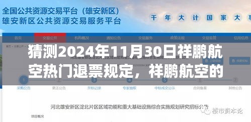 祥鹏航空退票风云揭秘，温情背后的机票退票故事预测（2024年11月30日）