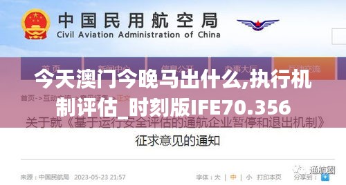今天澳门今晚马出什么,执行机制评估_时刻版IFE70.356