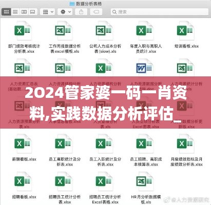 2O24管家婆一码一肖资料,实践数据分析评估_荣耀版BQT69.313