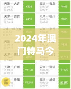 2024年澳门特马今晚,决策信息解释_先锋版VMY42.540