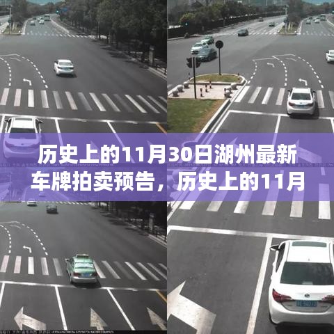 历史上的11月30日湖州最新车牌拍卖预告，多方观点交织的深度思考