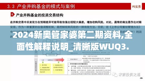 2024新奥管家婆第二期资料,全面性解释说明_清晰版WUQ3.169