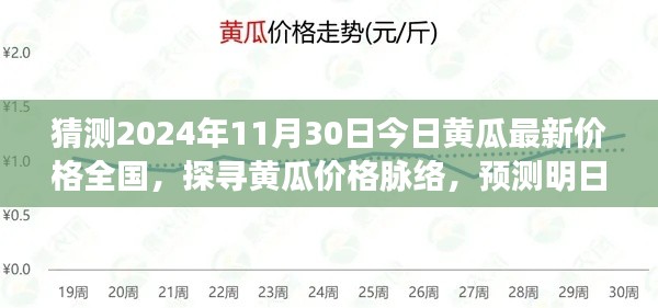 探寻黄瓜价格脉络，预测明日全国黄瓜行情及最新价格分析